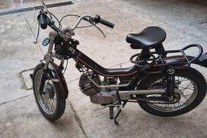 Cambridge 50 del 1978