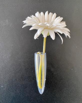 VW New Beetle Vasetto Per Margherita