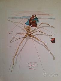 Salvador Dalì "Aracne" Divina Commedia litografia