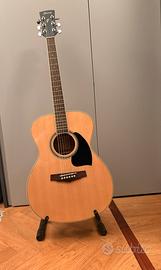 Chitarra acustica Ibanez PF15