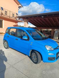 PANDA AZZURRI 1.2  