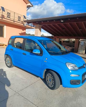PANDA AZZURRI 1.2  