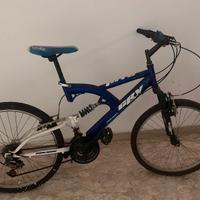 bicicletta ragazzo