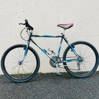 City Bike Mountain Bike Gufler Hubert