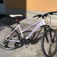 bicicletta mountain bike bambina 10-13 anni 