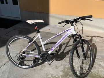 bicicletta mountain bike bambina 10-13 anni 