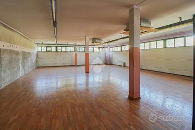 CAPANNONE A PALAZZOLO SULL'OGLIO