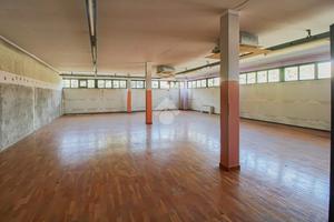 CAPANNONE A PALAZZOLO SULL'OGLIO