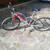 Mountain bike bottecchia