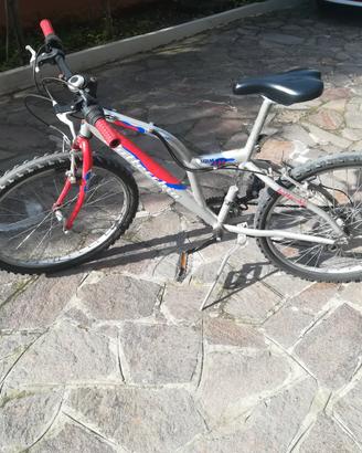 Mountain bike bottecchia