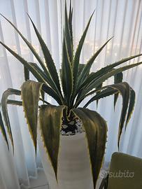 Pianta artificiale con vaso