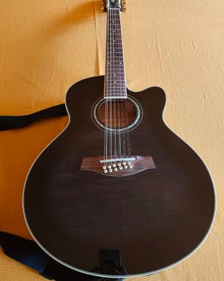 Ibanez elettroacustica 12 corde
