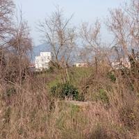 Terreno sul lago di Bracciano