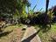 Immagine 22