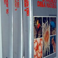 Il mondo della natura - il mondo dell'arte - i pae