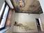 Immagine 12