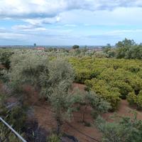 Terreno vicinissimo allo Scalo di Corigliano