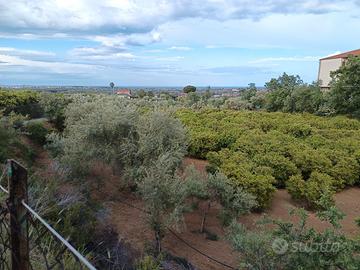 Terreno vicinissimo allo Scalo di Corigliano