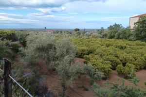 Terreno vicinissimo allo Scalo di Corigliano