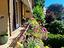 Immagine 22