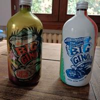 Bottiglie vuote Big Gino 