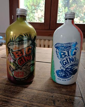 Bottiglie vuote Big Gino 