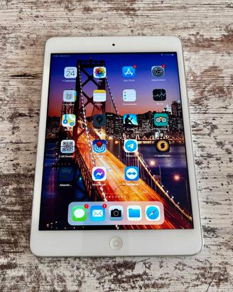 Ipad Mini wifi mod. A1489