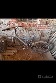 Mountain Bike Ammortizzata