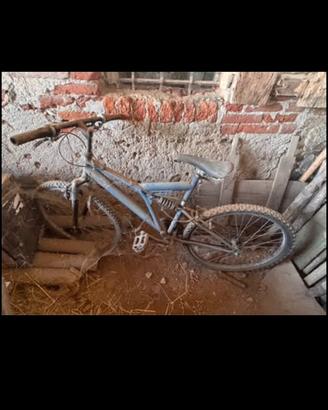 Mountain Bike Ammortizzata