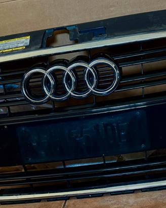 Griglia paraurti Audi A3 8v