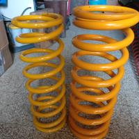 kit molle Raptor  + 5 Trial Defender 110 - 130