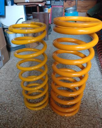 kit molle Raptor  + 5 Trial Defender 110 - 130