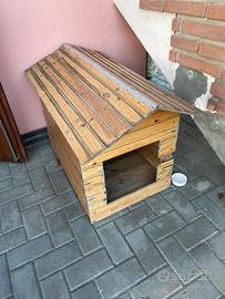Ciccia per cane