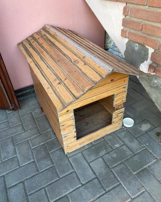 Ciccia per cane