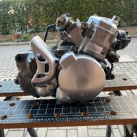 Revisione rotax 122 123