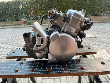 Revisione rotax 122 123