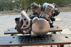 Revisione rotax 122 123