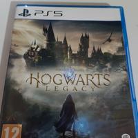 Hogwarts Legacy gioco originale 