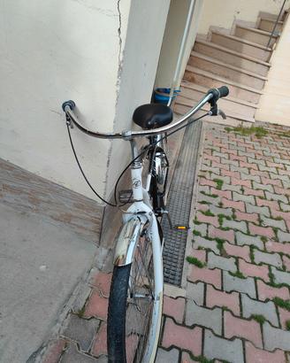 Atala Cruiser 26