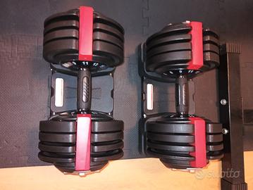 manubri regolabili palestra 