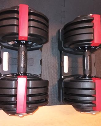 manubri regolabili palestra 