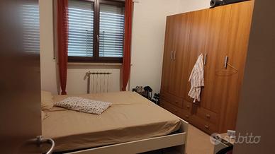 Ultima stanza singola vicino Università