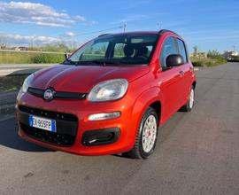 FIAT Panda 3ª serie - 2014 NEOPATENTATI