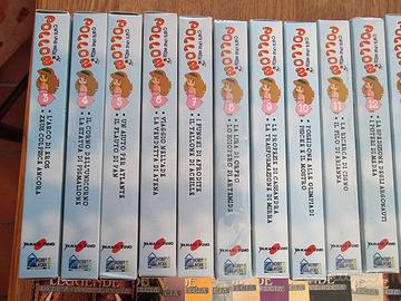 Collezione Vhs Pollon