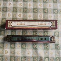 Hohner armonica a bocca