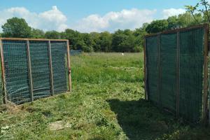 Terreno con magazzini a Nepi