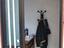 Immagine 19