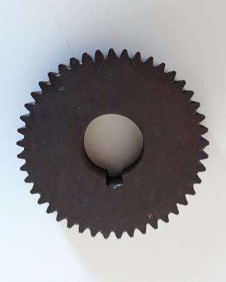 RUOTA DENTATA TORNIO ( 45 DENTI )