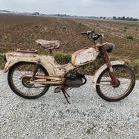 Ducati piuma brisk 48