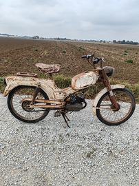 Ducati piuma brisk 48